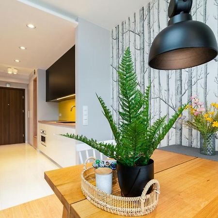 Triventi Mountain Residence Apartament Sunrise カルパッチ エクステリア 写真