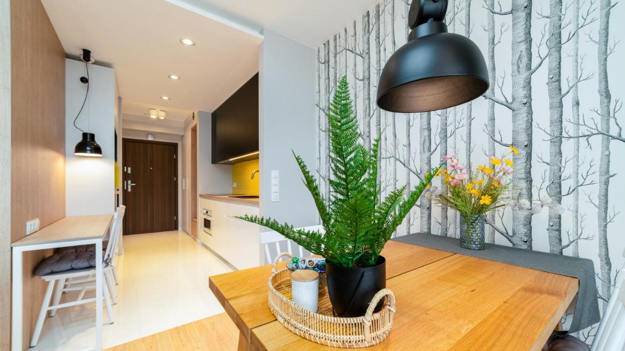 Triventi Mountain Residence Apartament Sunrise カルパッチ エクステリア 写真