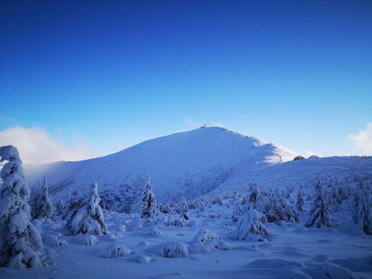 Triventi Mountain Residence Apartament Sunrise カルパッチ エクステリア 写真